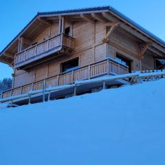 Magnifique Chalet neuf 8 pers, 800 m télécabine Princesse Megeve