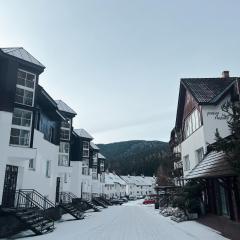 Apartment Na Skále CLOSE TO CITY CENTER & SKI LIFT