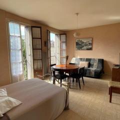 Spacieux studio au centre-ville avec ascenseur et animaux acceptés - FR-1-555-79