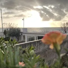 Il regno di Remo