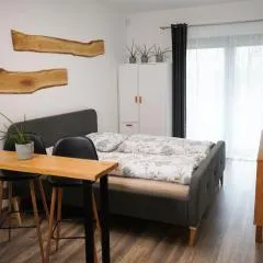 Hofmann Apartment