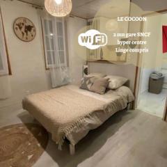 Le Cocoon - 2mn gare SNCF, hyper centre, WIFI-NETFLIX