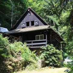 Black Forest House