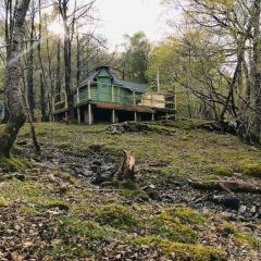 Tree Top Cabin with log burner & private hot tub