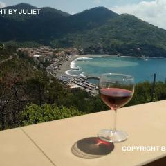 Juliet - apartment in Liguria 5 Terre UNESCO site