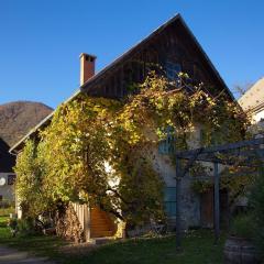 Vintage House Podliparska