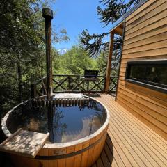 BordeArroyo Malalcahuello