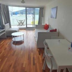Entire Spacious Apartment in the HEART of Canberra!