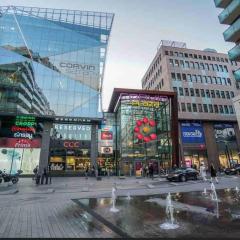 Corvin cozy and peaceful Apartment 313