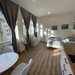 Historic Center Brno Apartment