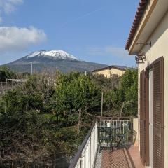 Villa Giulia al Vesuvio