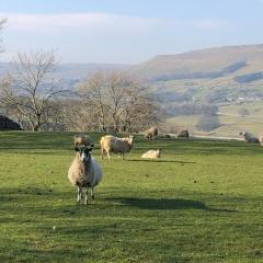 Quarry Cottage near Hawes, Yorkshire Dales, Pet free