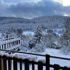 Chalet situé au grand Valtin