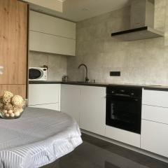 Lovely 1-bedroom apartment near Rose Valley Park