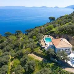 Avgi Villa