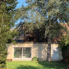 Le cèdre du Prieuré