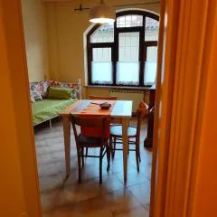 Il Tarassaco