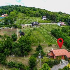 Holiday house with a parking space Krapina, Zagorje - 20452