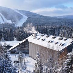 ウェルネス ホテル スヴォノスト（Wellness Hotel Svornost）