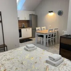 Apartament Brzóza Królewska
