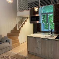 Deluxe art apartment in heart of Tallinn