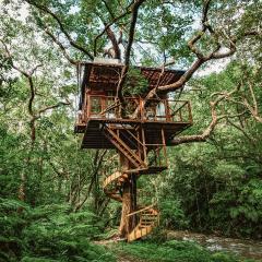 Treeful Treehouse Sustainable Resort