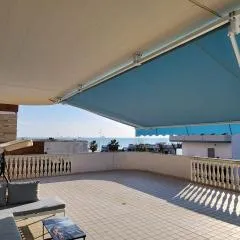 Sophie's Oasis