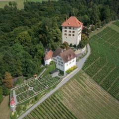 Ferienwohnung Schloss Heidegg