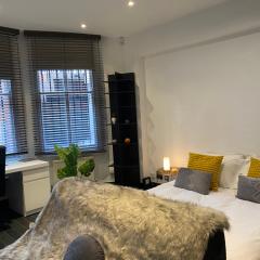 Beautiful Modern studio in High Street Kensington