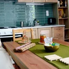Chrismma Apartment with private yard parking