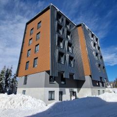 Apartman N&V, Villa Mont Jahorina