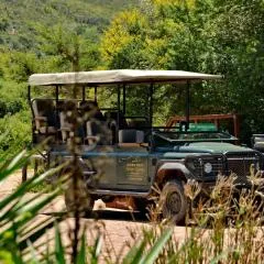 Garden Route Safari Camp