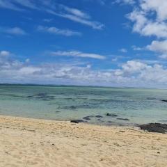 Vacation Beach House South of Mauritius - Riambel