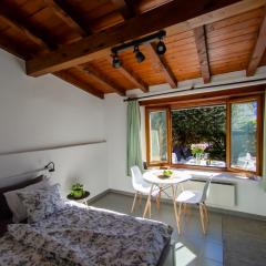 Rustico al Sole - Just renewed 1bedroom home in Ronco sopra Ascona