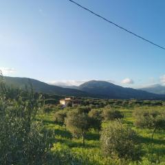 Casa vacanze L'ulivo Burgio