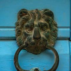 Guesthouse Lion