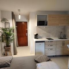 Studio neuf Cannes Marina jardin & piscine privée