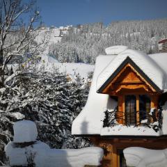 Domek Gniewnik Zakopane