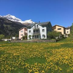 Schöne, sonnige 25-Zimmer Parterre-Ferienwohnung