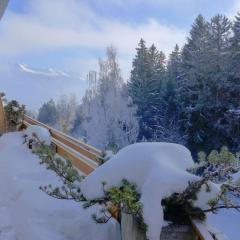 Apartment Terrasse Des Alpes 917 by Interhome