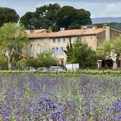 Gîte - Le Relais d'Affiac