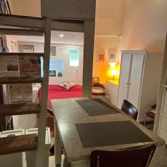 Rialto Regina Studium