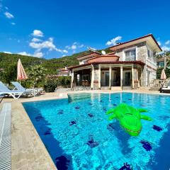 Private Pool - Private 1000m2 Garden, 4 Bedroom - 3 Bathroom - 8 Person, DETACHED Villas, Unlimited WiFi - Free Parking