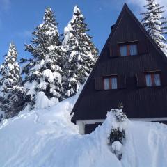 Baita Giggia sulle piste - Cavalese in Trentino Alto Adige cottage chalet