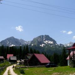 Apartment Vujisic