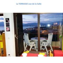 Appartement terrasse 1 chambre