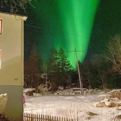 8 person holiday home in STONGLANDSEIDET