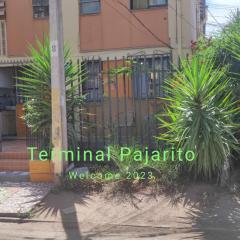 Terminal Pajarito