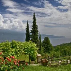 Casa Mamma Gisella - Theater Home