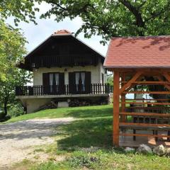 Holiday home in Loka pri Zusmu Stajerska Untersteiermark 26086